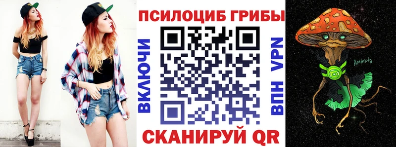 Псилоцибиновые грибы Psilocybine cubensis  купить   Иноземцево 